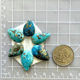 Small Sky Blue Freeform Ithaca Peak Turquoise, Set of 6 Dimensions