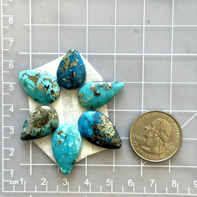 Small Sky Blue Freeform Ithaca Peak Turquoise, Set of 6 Dimensions