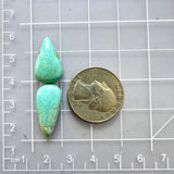 Medium Sky Blue Teardrop Fox Turquoise, Set of 2 Dimensions