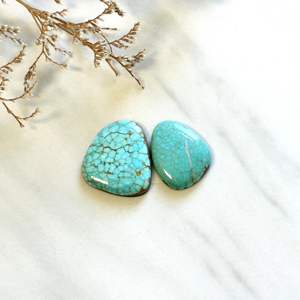 Large Sky Blue Freeform Number 8 Turquoise, Set of 2 Background