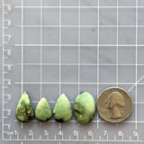 Small Mint Green Mixed Treasure Mountain Turquoise, Set of 4 Dimensions