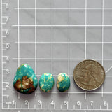 Small Deep Green Mixed Fox Turquoise, Set of 3 Dimensions