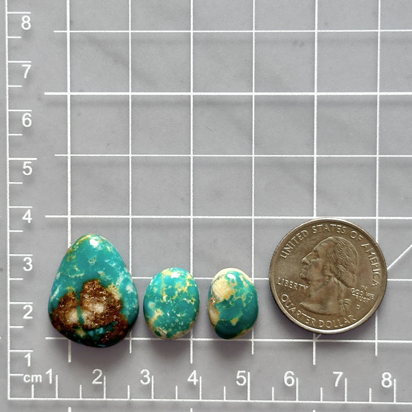 Small Deep Green Mixed Fox Turquoise, Set of 3 Dimensions