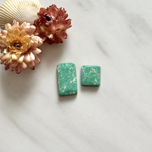 Medium Sea Green Mixed Namtso Lake Turquoise, Set of 2 Background