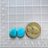 Small Sky Blue Freeform Sleeping Beauty Turquoise, Set of 2 Dimensions