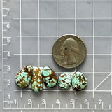 Small Mint Green Mixed Number 8 Turquoise, Set of 5 Dimensions