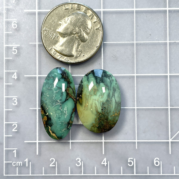 Large Mixed Oval Crescent Lake Variscite, Set of 2 Dimensions