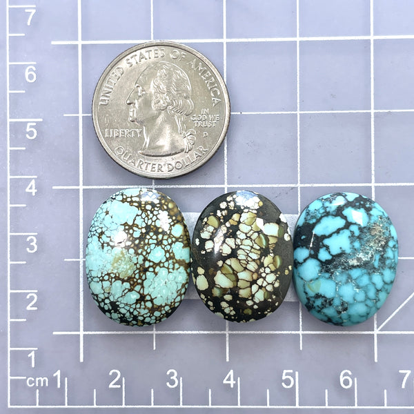 Large Mixed Oval Mixed Turquoise, Set of 3 Dimensions