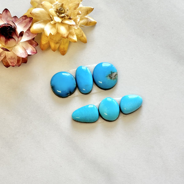 Small Ocean Blue Freeform Sleeping Beauty Turquoise, Set of 6 Background
