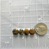 Small Earth Brown Mixed Treasure Mountain Turquoise, Set of 4 Dimensions