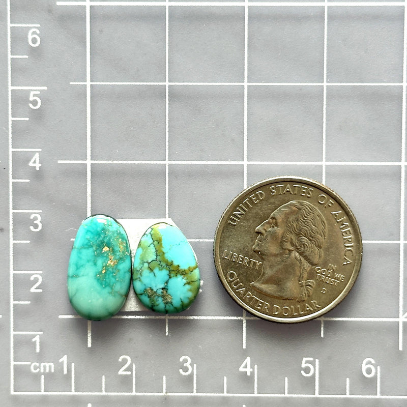 Small Sky Blue Mixed Lone Mountain Turquoise, Set of 2 Dimensions