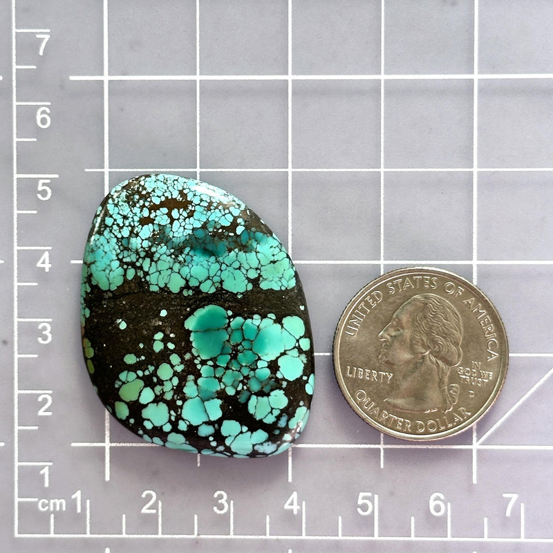 Large Sky Blue Freeform Number 8 Turquoise Dimensions