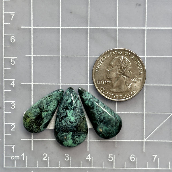Large Deep Green Teardrop Crescent Lake Variscite, Set of 3 Dimensions
