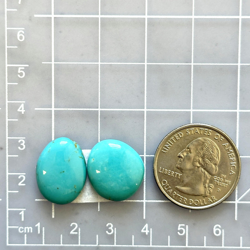 Medium Sky Blue Freeform Kingman Turquoise, Set of 2 Dimensions