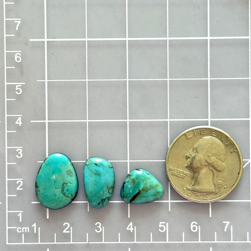Medium Sky Blue Freeform Kingman Turquoise, Set of 3 Dimensions