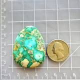 Large Sky Blue Freeform Fox Turquoise Dimensions