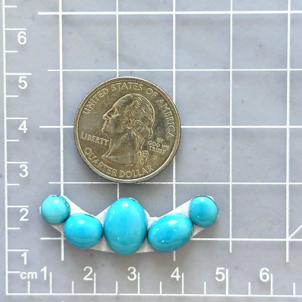 Small Sky Blue Mixed Sleeping Beauty Turquoise, Set of 5 Dimensions