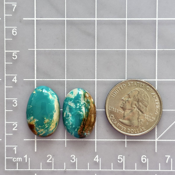 Medium Ocean Blue Oval Fox Turquoise, Set of 2 Dimensions