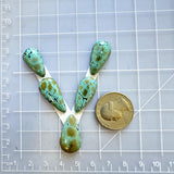 Small Sky Blue Teardrop Crescent Lake Variscite, Set of 5 Dimensions