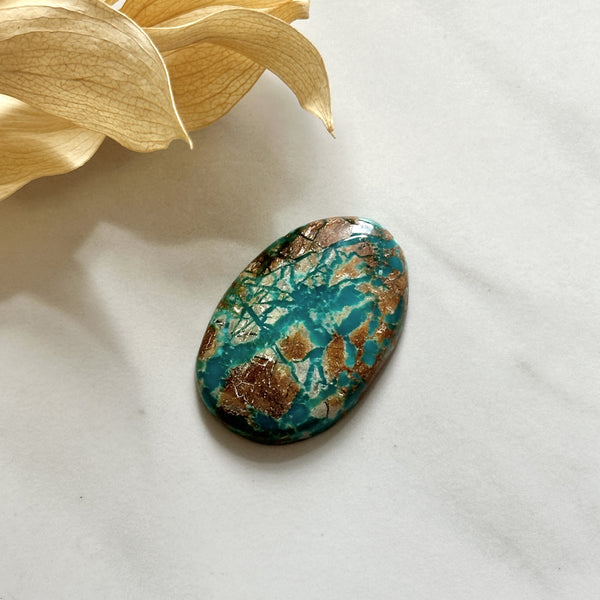 Large Mint Green Oval Fox Turquoise Background