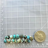 Small Mixed Mixed Number 8 Turquoise, Set of 17 Dimensions