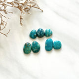 Small Sea Green Mixed Fox Turquoise, Set of 7 Background