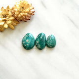Small Deep Green Freeform Fox Turquoise, Set of 3 Background