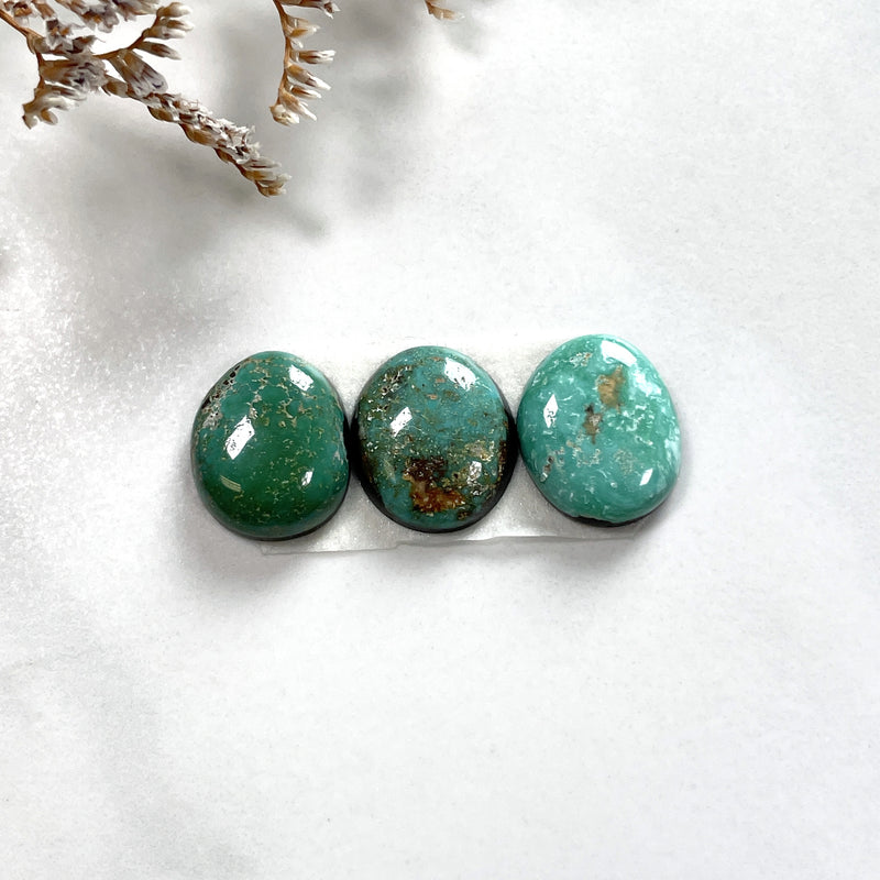 Small Mixed Freeform Carico Lake Turquoise, Set of 3 Background