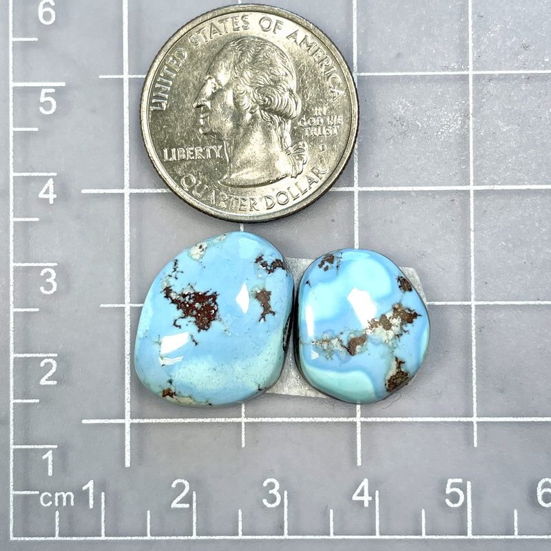 Medium Sky Blue Freeform Golden Hills Turquoise, Set of 2 Dimensions