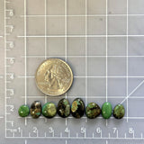 Small Deep Green Mixed Treasure Mountain Turquoise, Set of 8 Dimensions