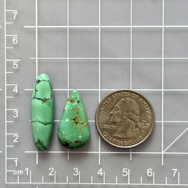 Large Sea Green Mixed Namtso Lake Turquoise, Set of 2 Dimensions