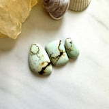 Medium Faint Blue Mixed Crescent Lake Variscite, Set of 3 Background