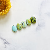 Small Mixed Oval Mixed Turquoise, Set of 5 Background