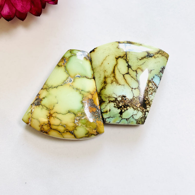 Large Mint Green Petal Treasure Mountain Turquoise, Set of 2 Background