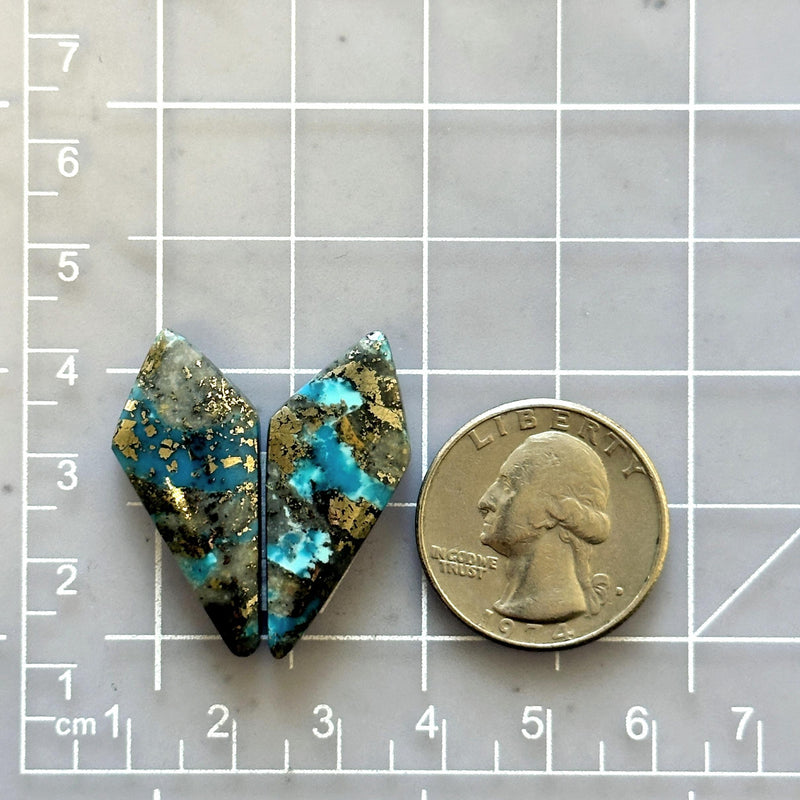 Large Ocean Blue Shield Ithaca Peak Turquoise, Set of 2 Dimensions