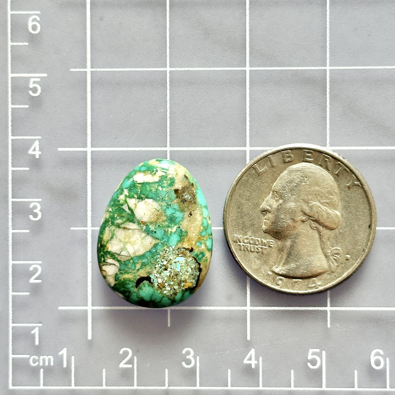 Sea Green Fox Turquoise Top Drilled Briolette – Turquoise Moose