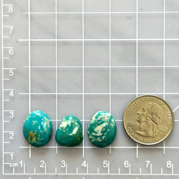 Small Sea Green Mixed Fox Turquoise, Set of 3 Dimensions