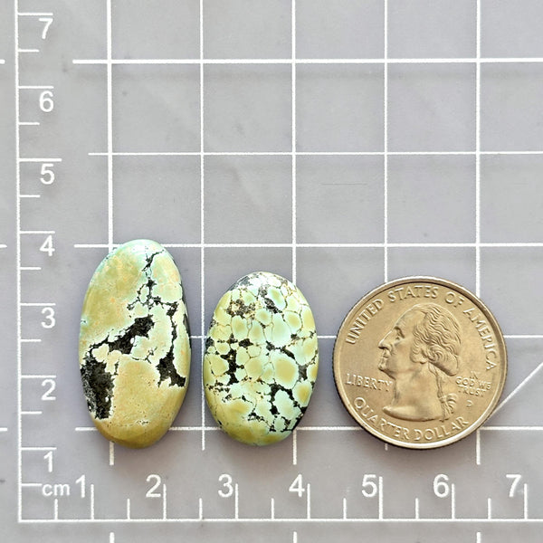 Large Yellow Oval Giraffe Turquoise, Set of 2 Dimensions