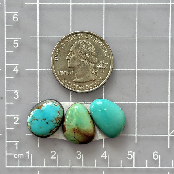 Small Sky Blue Mixed Tyrone Turquoise, Set of 3 Dimensions