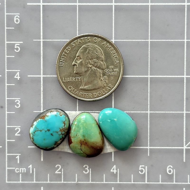 Small Sky Blue Mixed Tyrone Turquoise, Set of 3 Dimensions