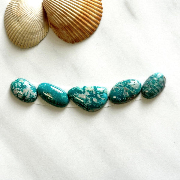 Small Sky Blue Mixed Fox Turquoise, Set of 5 Background