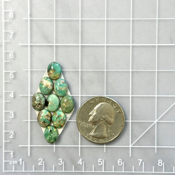 Smalll Sea Green Oval Broken Arrow Variscite, Set of 9 Dimensions