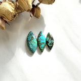 Large Sky Blue Freeform Wild Horse Turquoise, Set of 3 Background