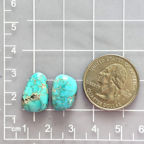 Small Sky Blue Mixed Lone Mountain Turquoise, Set of 2 Dimensions
