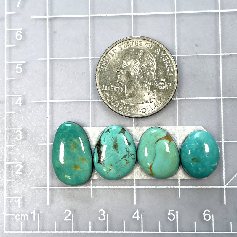 Small Sky Blue Freeform Tyrone Turquoise, Set of 4 Dimensions