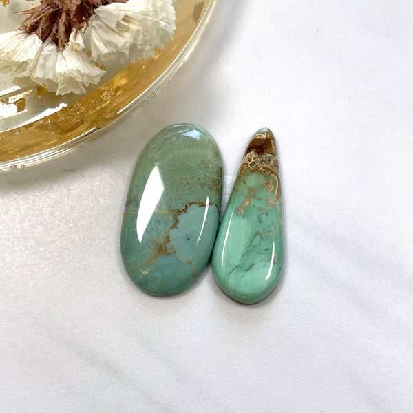 Large Mint Green Mixed Crescent Lake Variscite, Set of 2 Background