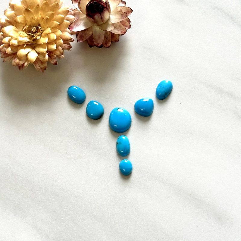 Small Sky Blue Freeform Sleeping Beauty Turquoise, Set of 7 Background