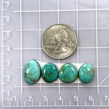 Small Deep Green Freeform Tyrone Turquoise, Set of 4 Dimensions