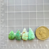 Small Mixed Teardrop Namtso Lake Turquoise, Set of 4 Dimensions