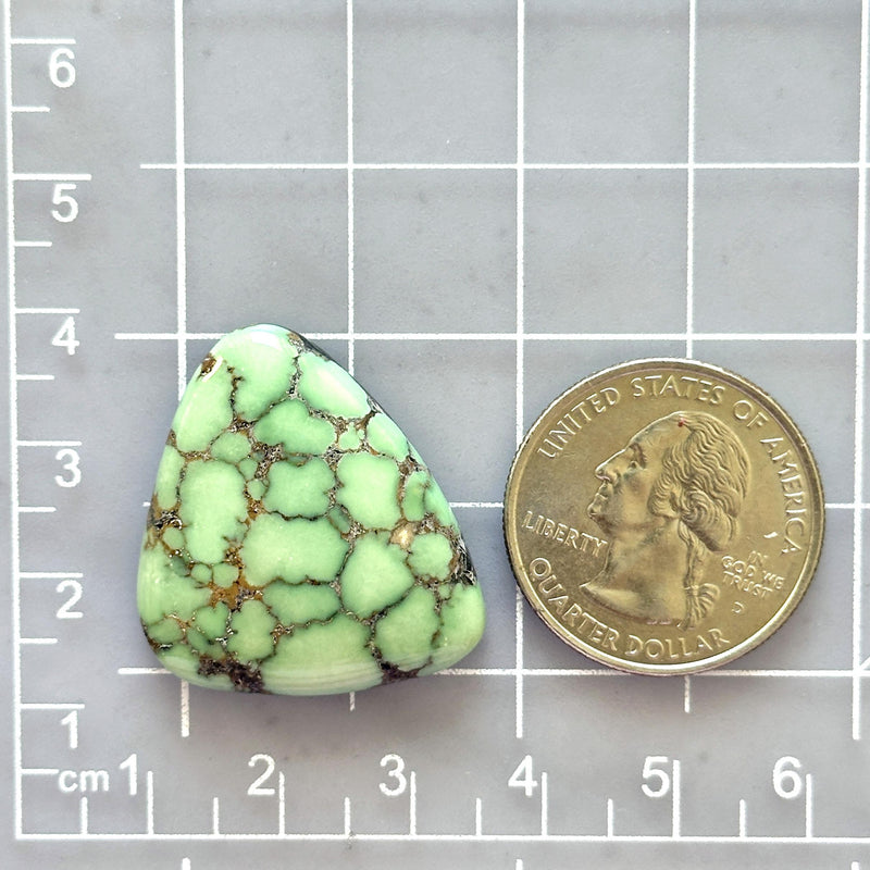 Large Mint Green Freeform Namtso Lake Turquoise Dimensions